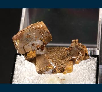T-015 Wulfenite from Los Lamentos Mts, Mun. de Villa Ahumada, Chihuahua, Mexico T-015 Wulfenite from Los Lamentos Mts, Mun. de Villa Ahumada, Chihuahua, Mexico