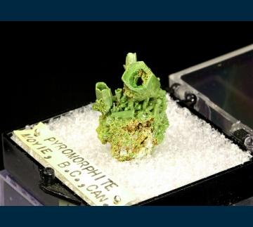 T-021 Pyromorphite from North Star Mine, Moyie, Fort Steele Mining Division, British Columbia, Canada