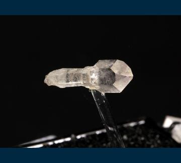 T-040 Quartz (Scepter) from Alice Glory Hole, Alice Mine, Alice District, Clear Creek Co., Colorado, USA T-040 Quartz (Scepter) from Alice Glory Hole, Alice Mine, Alice District, Clear Creek Co., Colorado, USA