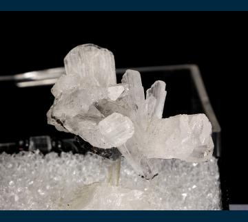 T-068 Hemimorphite from Ojuela Mine, Mapimi District, Bufa de Mapimi, Mun. de Mapimi, Durango, Mexico T-068 Hemimorphite from Ojuela Mine, Mapimi District, Bufa de Mapimi, Mun. de Mapimi, Durango, Mexico