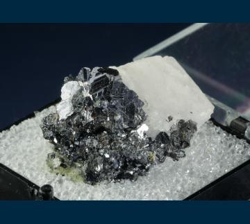 T-244 Galena on Calcite from Naica Mine, Naica, Mun. de Saucillo, Chihuahua, Mexico T-244 Galena on Calcite from Naica Mine, Naica, Mun. de Saucillo, Chihuahua, Mexico