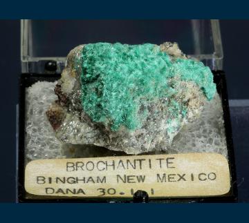 T-193 Bronchantite from Blanchard Mine, Hansonburg District, Bingham, Socorro County, New Mexico, USA T-193 Bronchantite from Blanchard Mine, Hansonburg District, Bingham, Socorro County, New Mexico, USA