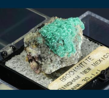 T-193 Bronchantite from Blanchard Mine, Hansonburg District, Bingham, Socorro County, New Mexico, USA T-193 Bronchantite from Blanchard Mine, Hansonburg District, Bingham, Socorro County, New Mexico, USA
