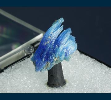 T-194 Chalcanthite from Majuba Hill Mine, Antelope District, Pershing Co., Nevada, USA