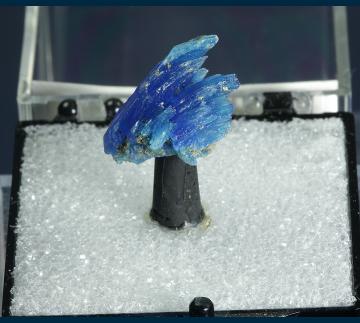 T-194 Chalcanthite from Majuba Hill Mine, Antelope District, Pershing Co., Nevada, USA
