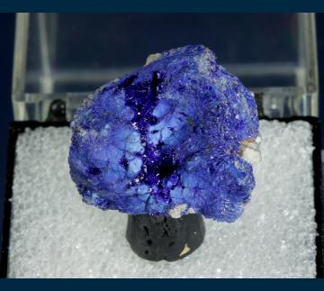T-202 Azurite from Globe-Miami District, Gila Co., Arizona, USA T-202 Azurite from Globe-Miami District, Gila Co., Arizona, USA