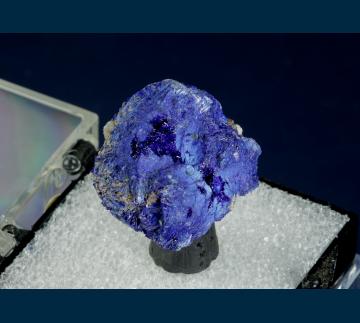 T-202 Azurite from Globe-Miami District, Gila Co., Arizona, USA T-202 Azurite from Globe-Miami District, Gila Co., Arizona, USA