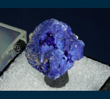 T-202 Azurite from Globe-Miami District, Gila Co., Arizona, USA T-202 Azurite from Globe-Miami District, Gila Co., Arizona, USA