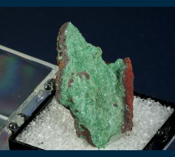 T-208 Malachite from Ojuela Mine, Mapimi District, Bufa de Mapimi, Mun. de Mapimi, Durango, Mexico T-208 Malachite from Ojuela Mine, Mapimi District, Bufa de Mapimi, Mun. de Mapimi, Durango, Mexico