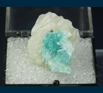T-218 Brochantite on Quartz from Blanchard Mine, Hansonburg District, Bingham, Socorro County, New Mexico, USA T-218 Brochantite on Quartz from Blanchard Mine, Hansonburg District, Bingham, Socorro County, New Mexico, USA