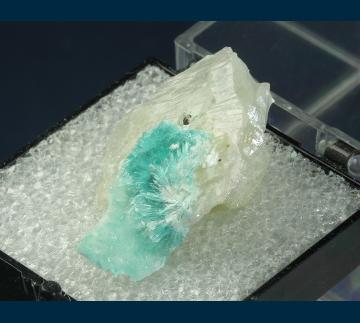 T-218 Brochantite on Quartz from Blanchard Mine, Hansonburg District, Bingham, Socorro County, New Mexico, USA T-218 Brochantite on Quartz from Blanchard Mine, Hansonburg District, Bingham, Socorro County, New Mexico, USA