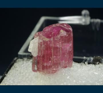 T-228 Elbaite tourmaline from Stewart Mine, Pala District, San Diego County, California, USA T-228 Elbaite tourmaline from Stewart Mine, Pala District, San Diego County, California, USA