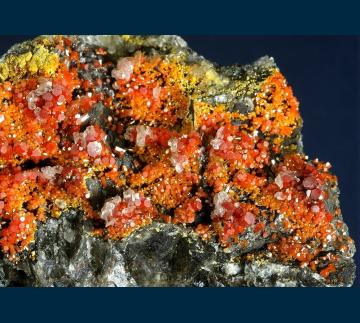 RG0469 Vanadinite and Calcite from North Geronimo Mine, Silver District, Trigo Mts., La Paz County, Arizona, USA RG0469 Vanadinite and Calcite from North Geronimo Mine, Silver District, Trigo Mts., La Paz County, Arizona, USA
