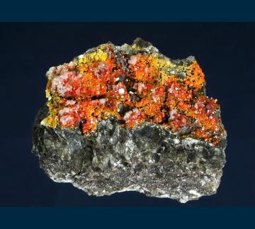 RG0469 Vanadinite and Calcite from North Geronimo Mine, Silver District, Trigo Mts., La Paz County, Arizona, USA RG0469 Vanadinite and Calcite from North Geronimo Mine, Silver District, Trigo Mts., La Paz County, Arizona, USA