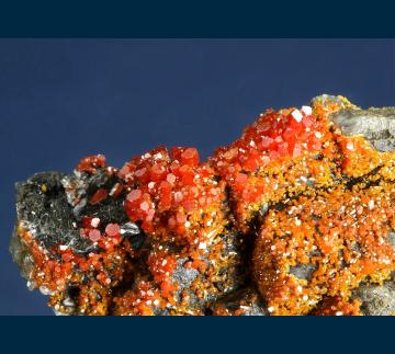 RG0470 RG0470 from North Geronimo Mine, Silver District, Trigo Mts., La Paz County, Arizona, USA RG0470 RG0470 from North Geronimo Mine, Silver District, Trigo Mts., La Paz County, Arizona, USA