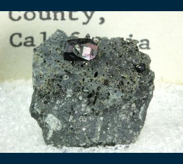 T-156 Ilmenite from New Idria District, Diablo Range, San Benito Co., California, USA T-156 Ilmenite from New Idria District, Diablo Range, San Benito Co., California, USA