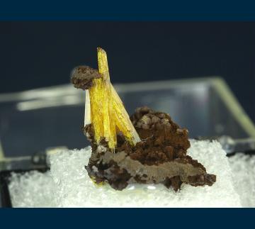 T-162 Legrandite from Ojuela Mine, Mapimi District, Bufa de Mapimi, Mun. de Mapimi, Durango, Mexico T-162 Legrandite from Ojuela Mine, Mapimi District, Bufa de Mapimi, Mun. de Mapimi, Durango, Mexico