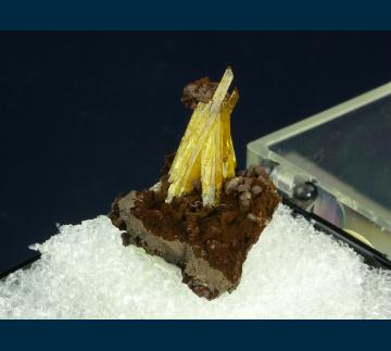 T-162 Legrandite from Ojuela Mine, Mapimi District, Bufa de Mapimi, Mun. de Mapimi, Durango, Mexico T-162 Legrandite from Ojuela Mine, Mapimi District, Bufa de Mapimi, Mun. de Mapimi, Durango, Mexico