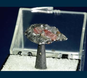 T-172 Rhodonite in Galena from Broken Hill, Yancowinna Co., New South Wales, Australia T-172 Rhodonite in Galena from Broken Hill, Yancowinna Co., New South Wales, Australia