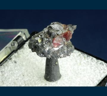 T-172 Rhodonite in Galena from Broken Hill, Yancowinna Co., New South Wales, Australia T-172 Rhodonite in Galena from Broken Hill, Yancowinna Co., New South Wales, Australia