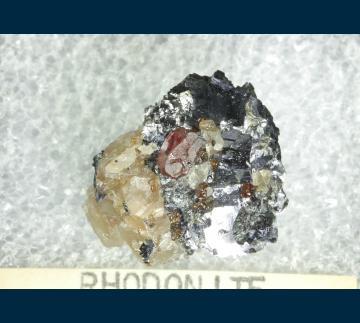 T-173 Rhodonite in Galena from Broken Hill, Yancowinna Co., New South Wales, Australia T-173 Rhodonite in Galena from Broken Hill, Yancowinna Co., New South Wales, Australia