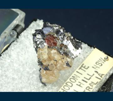 T-173 Rhodonite in Galena from Broken Hill, Yancowinna Co., New South Wales, Australia T-173 Rhodonite in Galena from Broken Hill, Yancowinna Co., New South Wales, Australia