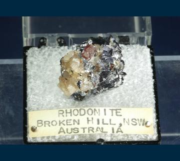 T-173 Rhodonite in Galena from Broken Hill, Yancowinna Co., New South Wales, Australia T-173 Rhodonite in Galena from Broken Hill, Yancowinna Co., New South Wales, Australia