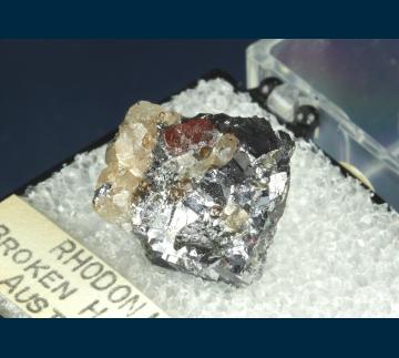 T-173 Rhodonite in Galena from Broken Hill, Yancowinna Co., New South Wales, Australia T-173 Rhodonite in Galena from Broken Hill, Yancowinna Co., New South Wales, Australia