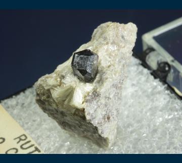 T-183 Rutile on Pyrophyllite from Champion Mine, White Mts., Mono County, California, USA T-183 Rutile on Pyrophyllite from Champion Mine, White Mts., Mono County, California, USA