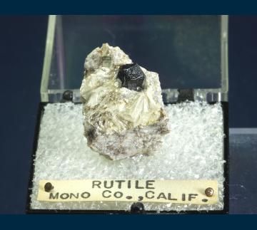 T-183 Rutile on Pyrophyllite from Champion Mine, White Mts., Mono County, California, USA T-183 Rutile on Pyrophyllite from Champion Mine, White Mts., Mono County, California, USA