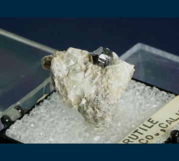 T-183 Rutile on Pyrophyllite from Champion Mine, White Mts., Mono County, California, USA T-183 Rutile on Pyrophyllite from Champion Mine, White Mts., Mono County, California, USA