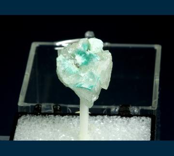 T-192 Bronchantite from Blanchard Mine, Hansonburg District, Bingham, Socorro County, New Mexico, USA T-192 Bronchantite from Blanchard Mine, Hansonburg District, Bingham, Socorro County, New Mexico, USA