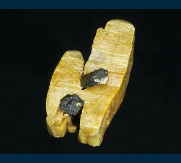 ZA-01 Zircon with Aegirine from Mount Malosa, Zomba District, Malawi ZA-01 Zircon with Aegirine from Mount Malosa, Zomba District, Malawi