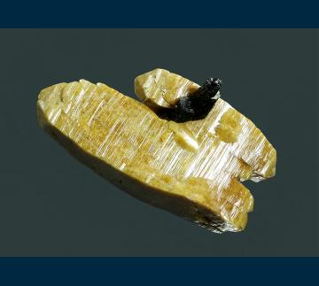 ZA-01 Zircon with Aegirine from Mount Malosa, Zomba District, Malawi ZA-01 Zircon with Aegirine from Mount Malosa, Zomba District, Malawi