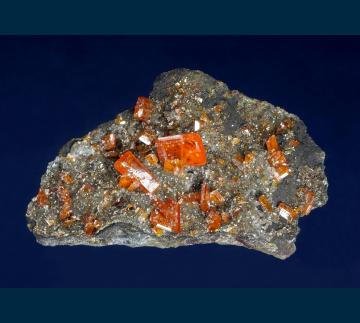 RC03 Wulfenite from Red Cloud Mine, Silver District, Trigo Mts., La Paz County, Arizona, USA RC03 Wulfenite from Red Cloud Mine, Silver District, Trigo Mts., La Paz County, Arizona, USA