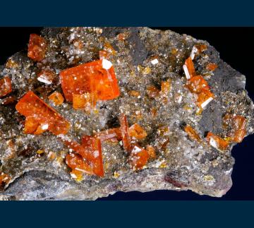 RC03 Wulfenite from Red Cloud Mine, Silver District, Trigo Mts., La Paz County, Arizona, USA RC03 Wulfenite from Red Cloud Mine, Silver District, Trigo Mts., La Paz County, Arizona, USA