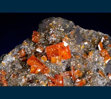 RC03 Wulfenite from Red Cloud Mine, Silver District, Trigo Mts., La Paz County, Arizona, USA RC03 Wulfenite from Red Cloud Mine, Silver District, Trigo Mts., La Paz County, Arizona, USA
