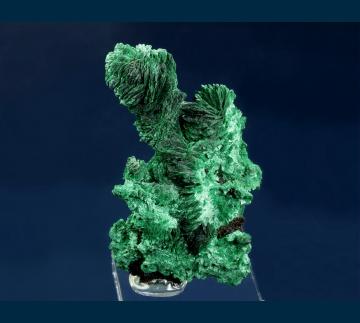 JRT4 Malachite (pseudo Azurite) from Morenci Pit, Clifton-Morenci District, Greenlee County, Arizona, USA 