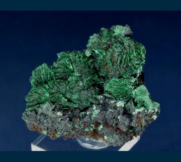 JRT7 Malachite (pseudo Azurite) from Morenci Pit, Clifton-Morenci District, Greenlee County, Arizona, USA JRT7 Malachite (pseudo Azurite) from Morenci Pit, Clifton-Morenci District, Greenlee County, Arizona, USA