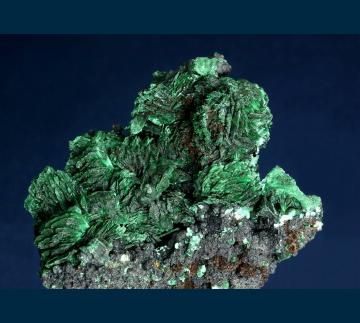 JRT7 Malachite (pseudo Azurite) from Morenci Pit, Clifton-Morenci District, Greenlee County, Arizona, USA JRT7 Malachite (pseudo Azurite) from Morenci Pit, Clifton-Morenci District, Greenlee County, Arizona, USA