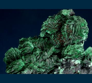 JRT7 Malachite (pseudo Azurite) from Morenci Pit, Clifton-Morenci District, Greenlee County, Arizona, USA JRT7 Malachite (pseudo Azurite) from Morenci Pit, Clifton-Morenci District, Greenlee County, Arizona, USA