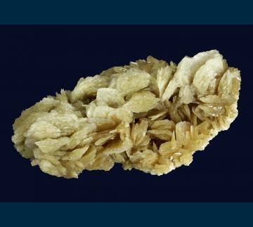 DG17-01 Barite from Rancho Palos Verdes, Los Angeles Co., California, USA DG17-01 Barite from Rancho Palos Verdes, Los Angeles Co., California, USA