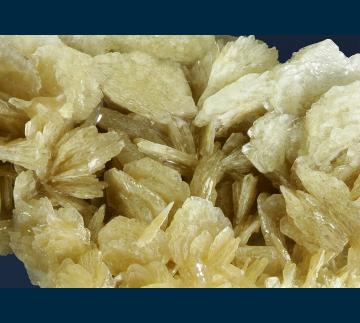 DG17-01 Barite from Rancho Palos Verdes, Los Angeles Co., California, USA DG17-01 Barite from Rancho Palos Verdes, Los Angeles Co., California, USA