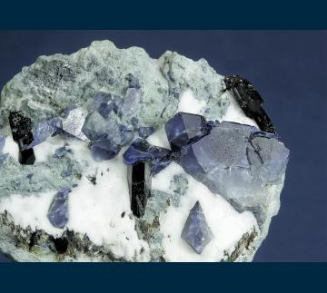DGM-01 Benitoite with Neptunite from Dallas Gem Mine, New Idria District, Diablo Range, San Benito Co., California, USA DGM-01 Benitoite with Neptunite from Dallas Gem Mine, New Idria District, Diablo Range, San Benito Co., California, USA