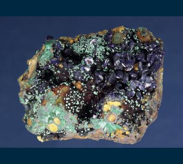 MMH-03 Azurite with Malachite from Copper Queen Mine, Queen Hill, Bisbee, Warren District, Cochise Co., Arizona, USA MMH-03 Azurite with Malachite from Copper Queen Mine, Queen Hill, Bisbee, Warren District, Cochise Co., Arizona, USA