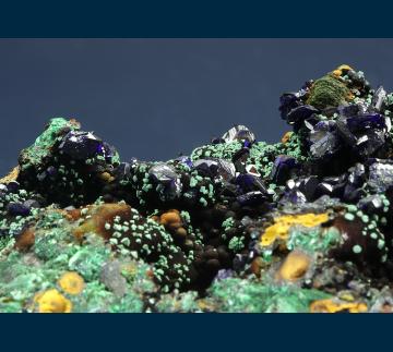 MMH-03 Azurite with Malachite from Copper Queen Mine, Queen Hill, Bisbee, Warren District, Cochise Co., Arizona, USA MMH-03 Azurite with Malachite from Copper Queen Mine, Queen Hill, Bisbee, Warren District, Cochise Co., Arizona, USA