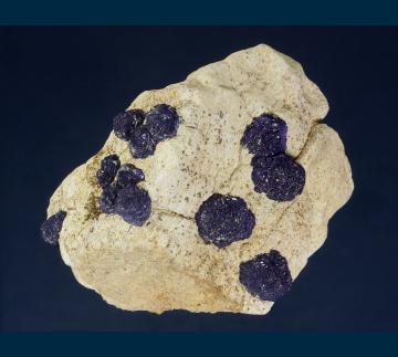 MMH-09 Azurite on sandstone from Hanover #2 Mine, Hanover-Fierro District, Grant Co., New Mexico, USA MMH-09 Azurite on sandstone from Hanover #2 Mine, Hanover-Fierro District, Grant Co., New Mexico, USA