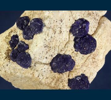 MMH-09 Azurite on sandstone from Hanover #2 Mine, Hanover-Fierro District, Grant Co., New Mexico, USA MMH-09 Azurite on sandstone from Hanover #2 Mine, Hanover-Fierro District, Grant Co., New Mexico, USA