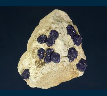 MMH-09 Azurite on sandstone from Hanover #2 Mine, Hanover-Fierro District, Grant Co., New Mexico, USA MMH-09 Azurite on sandstone from Hanover #2 Mine, Hanover-Fierro District, Grant Co., New Mexico, USA