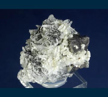 MMH-13 Arsenopyrite with Jamesonite and Quartz from Yaogangxian Mine, Yizhang Co., Chenzhou Prefecture, Hunan, China MMH-13 Arsenopyrite with Jamesonite and Quartz from Yaogangxian Mine, Yizhang Co., Chenzhou Prefecture, Hunan, China